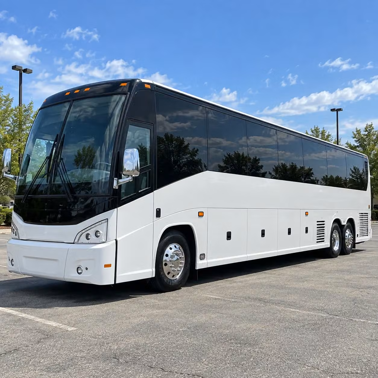 book transportation to the north carolina zoo marbles kids museum and beyond